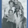 LASSIE