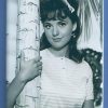 DAWN WELLS