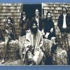 Grateful Dead 2x3 Fridge Magnet