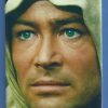 Peter O'Toole 2x3 Fridge Magnet