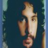 Cat Stevens 2x3 Fridge Magnet