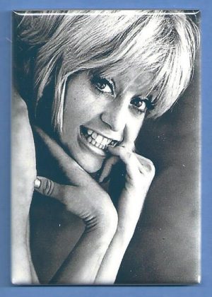 Goldie Hawn 2x3 Fridge Magnet