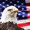Eagle 2x3 Fridge Magnet