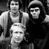 Planet of the Apes 2x3 Fridge Magnet