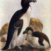 Great Auk 2x3 Fridge Magnet