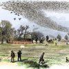 Passenger Pigeon 2x3 Fridge Magnet