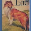 Further Adventures of Lad 2x3 Fridge Magnet