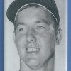 Al Kaline 2x3 Fridge Magnet