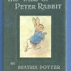 Peter Rabbit 2x3 Fridge Magnet