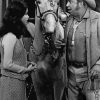 Mary Tyler Moore Slim Pickens 2x3 Fridge Magnet