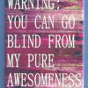 Warning...Blind 2x3 Fridge Magnet