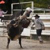 Bull Riding 2x3 Fridge Magnet