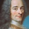 Voltaire 2x3 Fridge Magnet