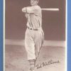 Ted Williams 2x3 Fridge Magnet