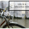 Life is Such a Beautiful Ride 2x3 Fridge Magnet