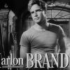 Streetcar Named Desire 2×3 Fridge Magnet