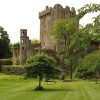 Blarney Castle 2x3 Fridge Magnet