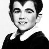 The Munsters 2×3 Fridge Magnet