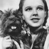 Wizard of Oz Dorothy and Toto