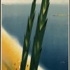 Crimea Travel Poster 2x3 Fridge Magnet