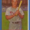 Richie Ashburn 2x3 Fridge Magnet 505